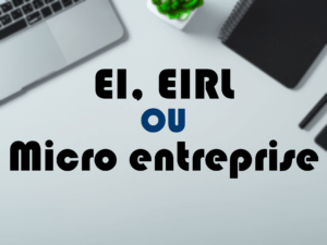 EI, EIRL ou Micro Entreprise, quelles différences entre ces statuts