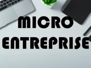 Micro-entreprise : avantages, définition et formalités